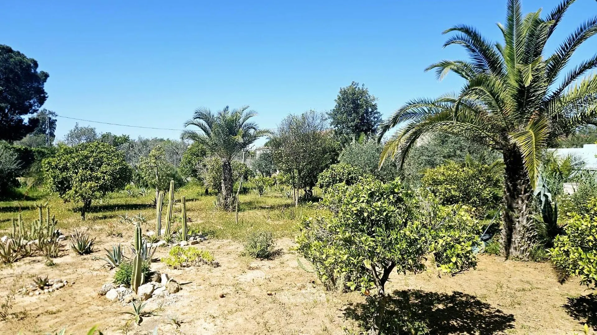 Casa Rural Villa Moral El Arahal