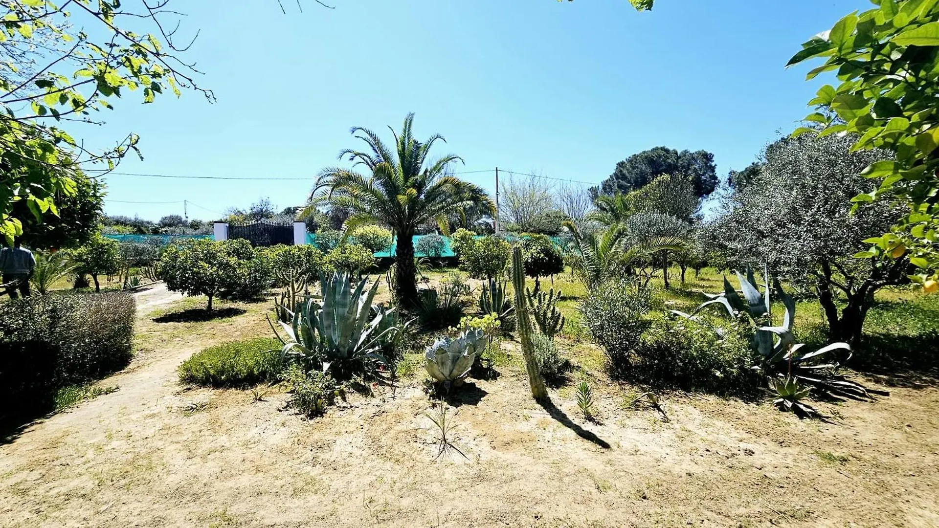 Casa Rural Villa Moral El Arahal Séjour à la campagne